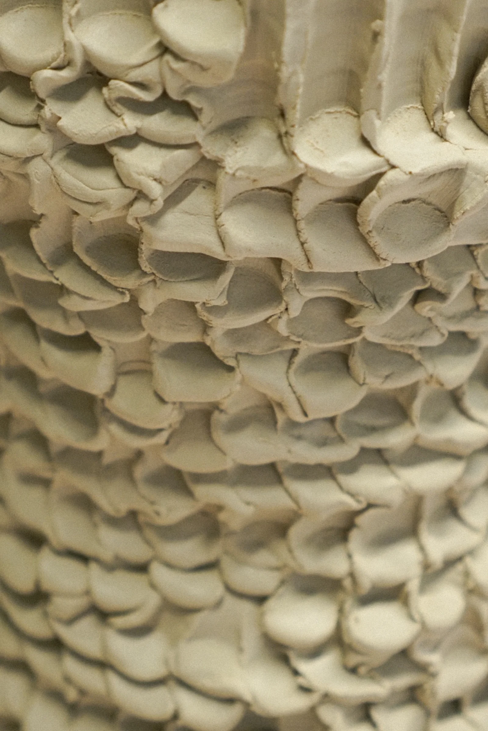 A handmade ceramic piece, ready to gift